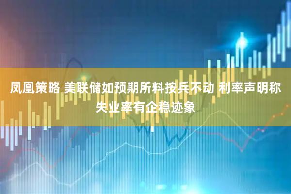 凤凰策略 美联储如预期所料按兵不动 利率声明称失业率有企稳迹象